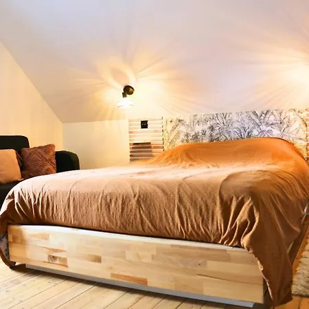 Grande Maison De Charme Avec Jardin * Reims