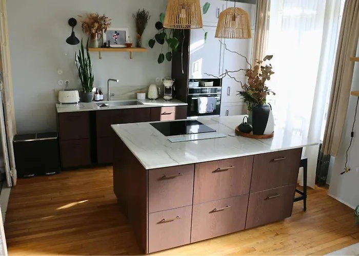 Grande Maison De Charme Avec Jardin * Reims