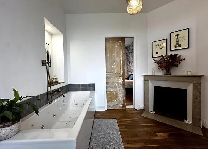 Grande Maison De Charme Avec Jardin Reims